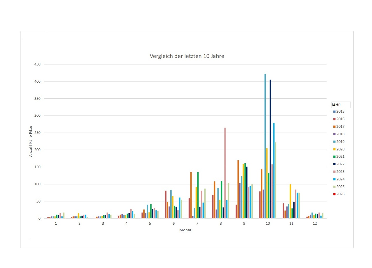 Statistik Pilze 03.02.2026